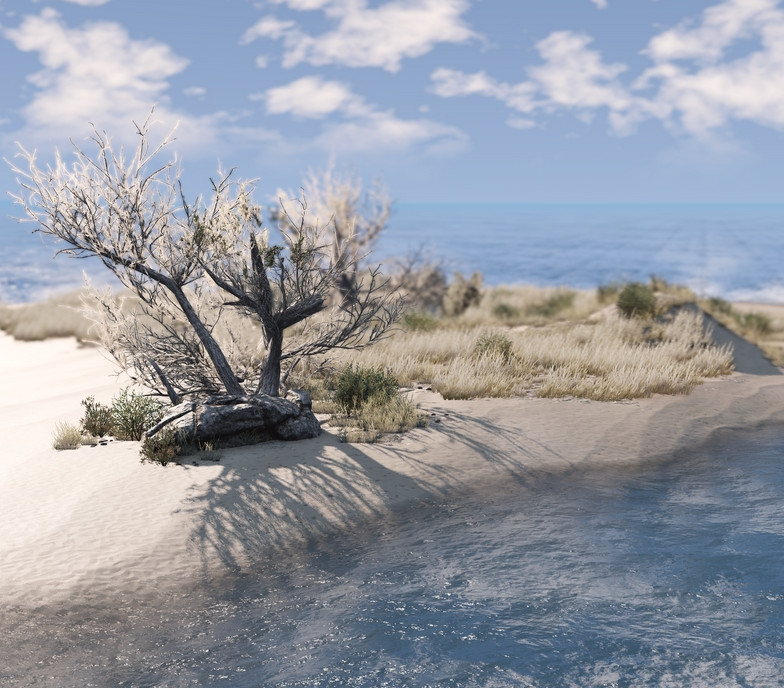 Pure Sands