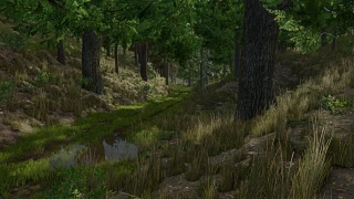 Palatinate Forest 1.0.0.3 thumbnail 5