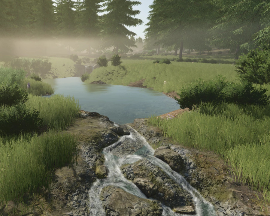 Bear Wallow Logging