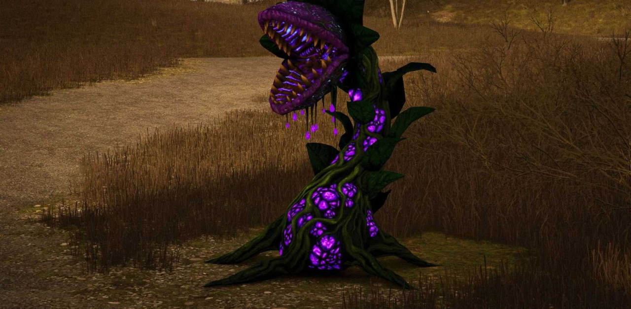 Halloween Monster Plant