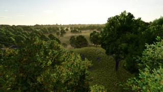 Mod Image
