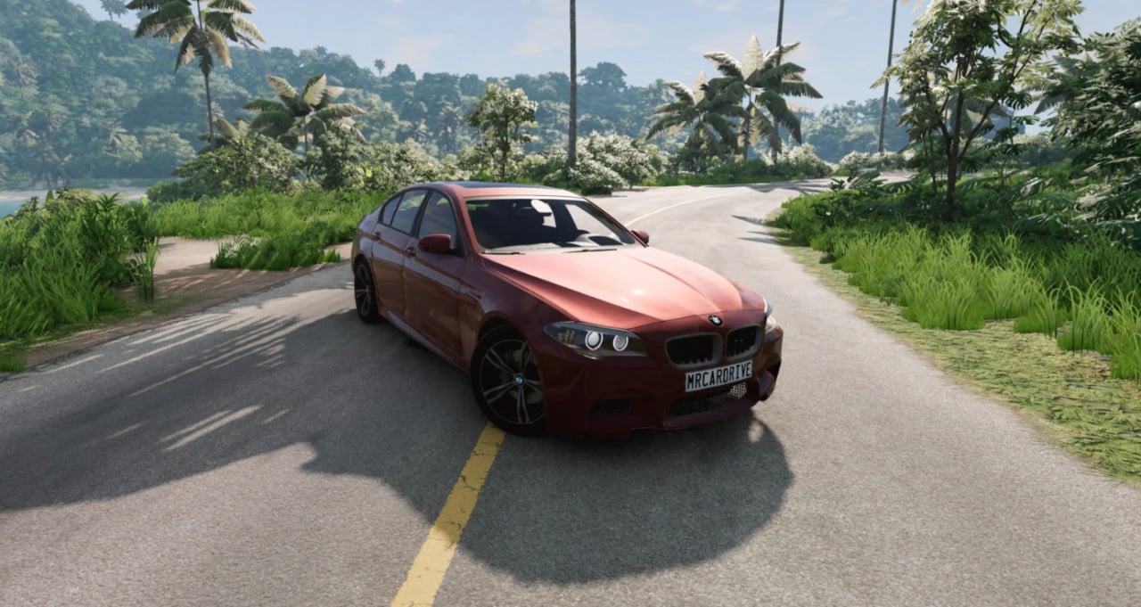 BMW F10 5-Series