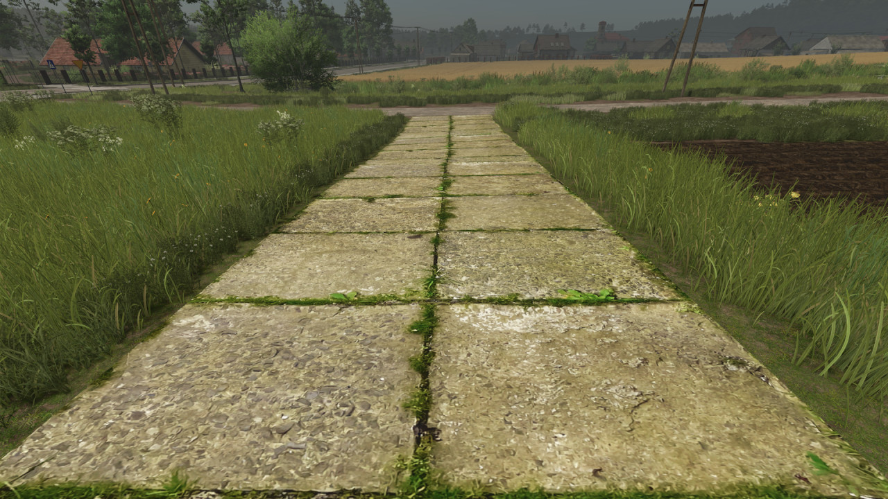 Asphalt and Paved Roads