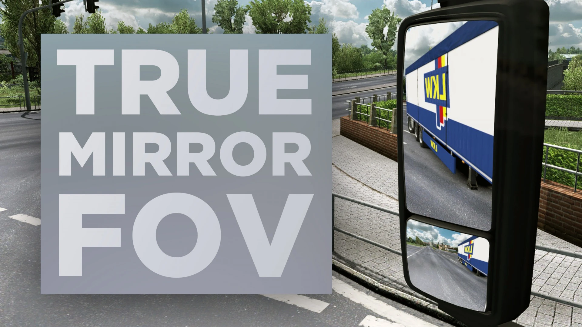 True Mirror FOV v1.2.6