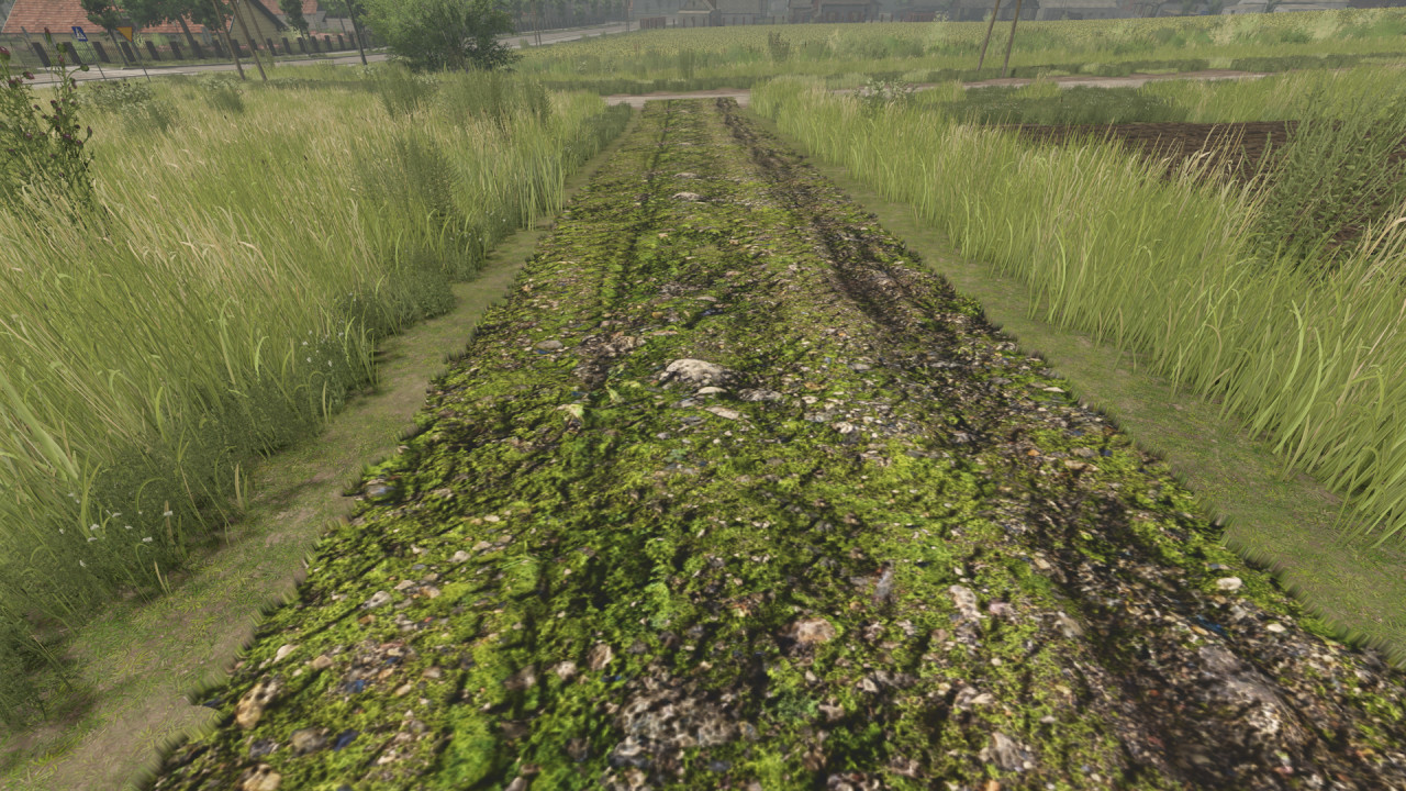 Mud and cobblestone Roads