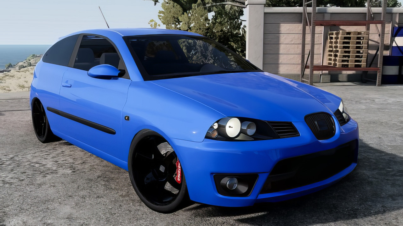 Seat Ibiza 6L