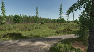 Sunshine Forest 1.0.0.6