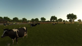 The Elm Rochester 1.1.0 thumbnail 6