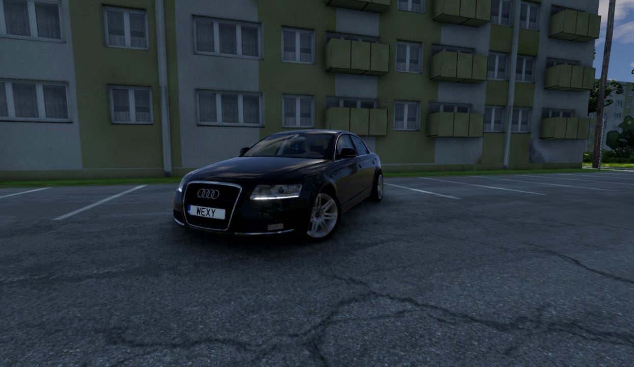 Audi A6 C6 (Sedan/Avant)