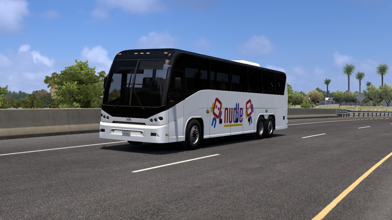 Nudle Coach