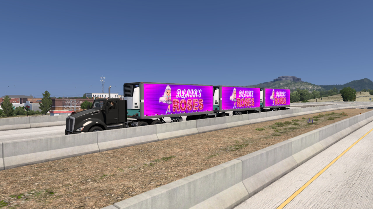 Blair's Roses & Rox Painting Triple Skin Pack