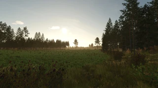 Kivi Küla 1.0.0.2