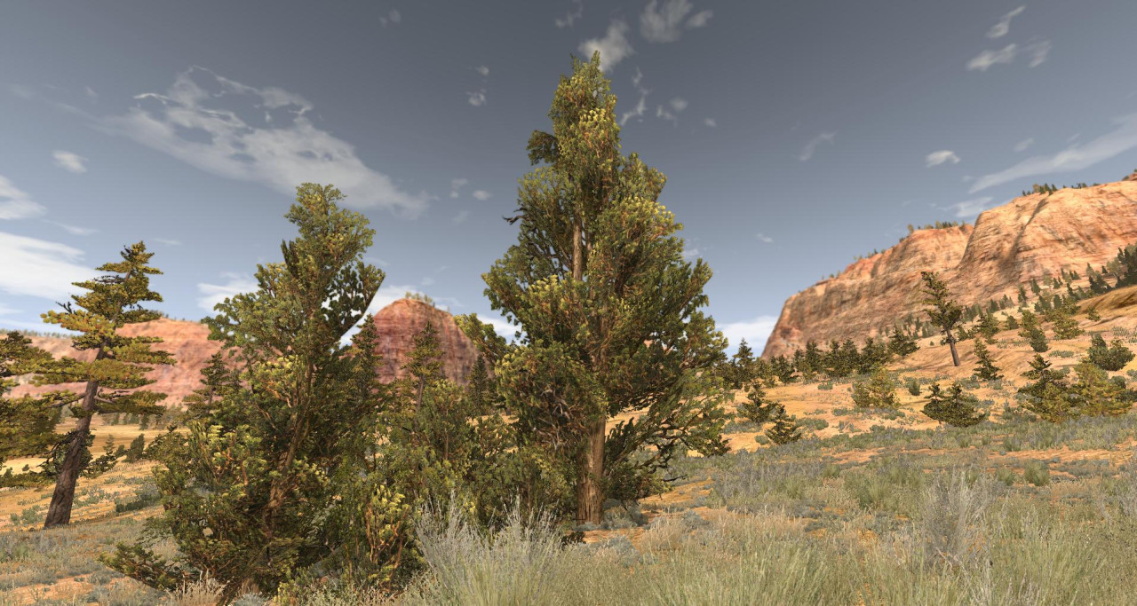 Canyon of Speed