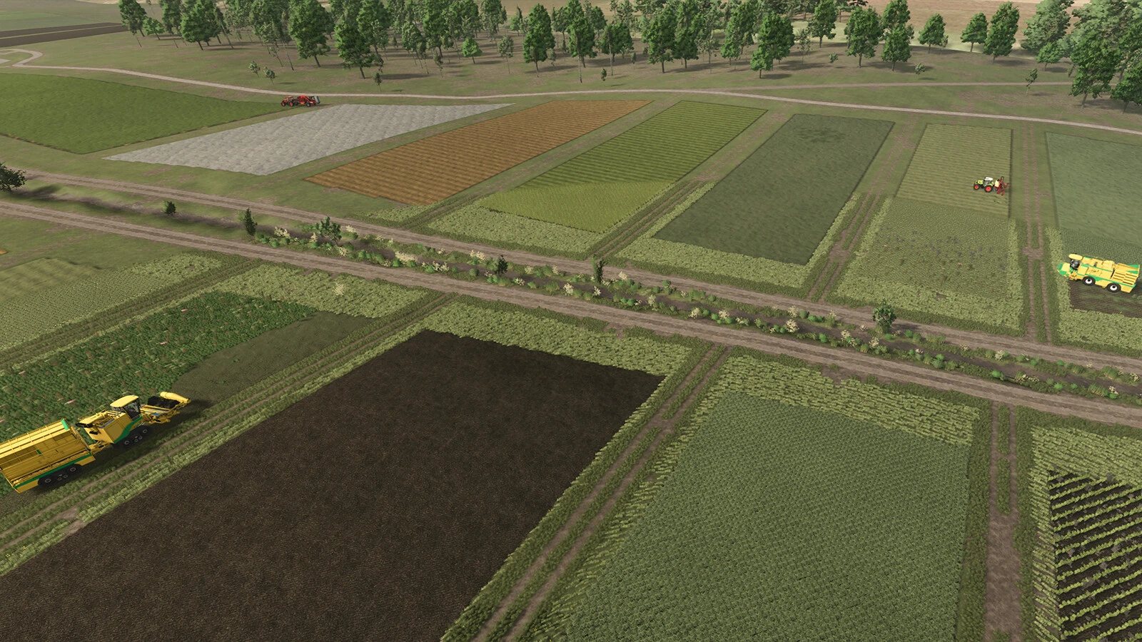 Neighbors On The Fields 1.0