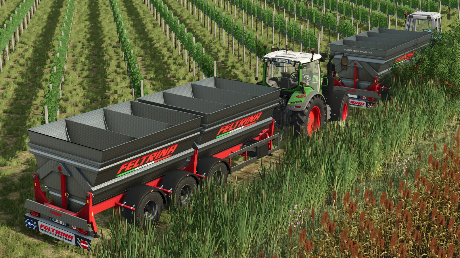 Feltrina Vineyard Series 1.0