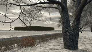 Golden Lands 1.0.1.0 thumbnail 4