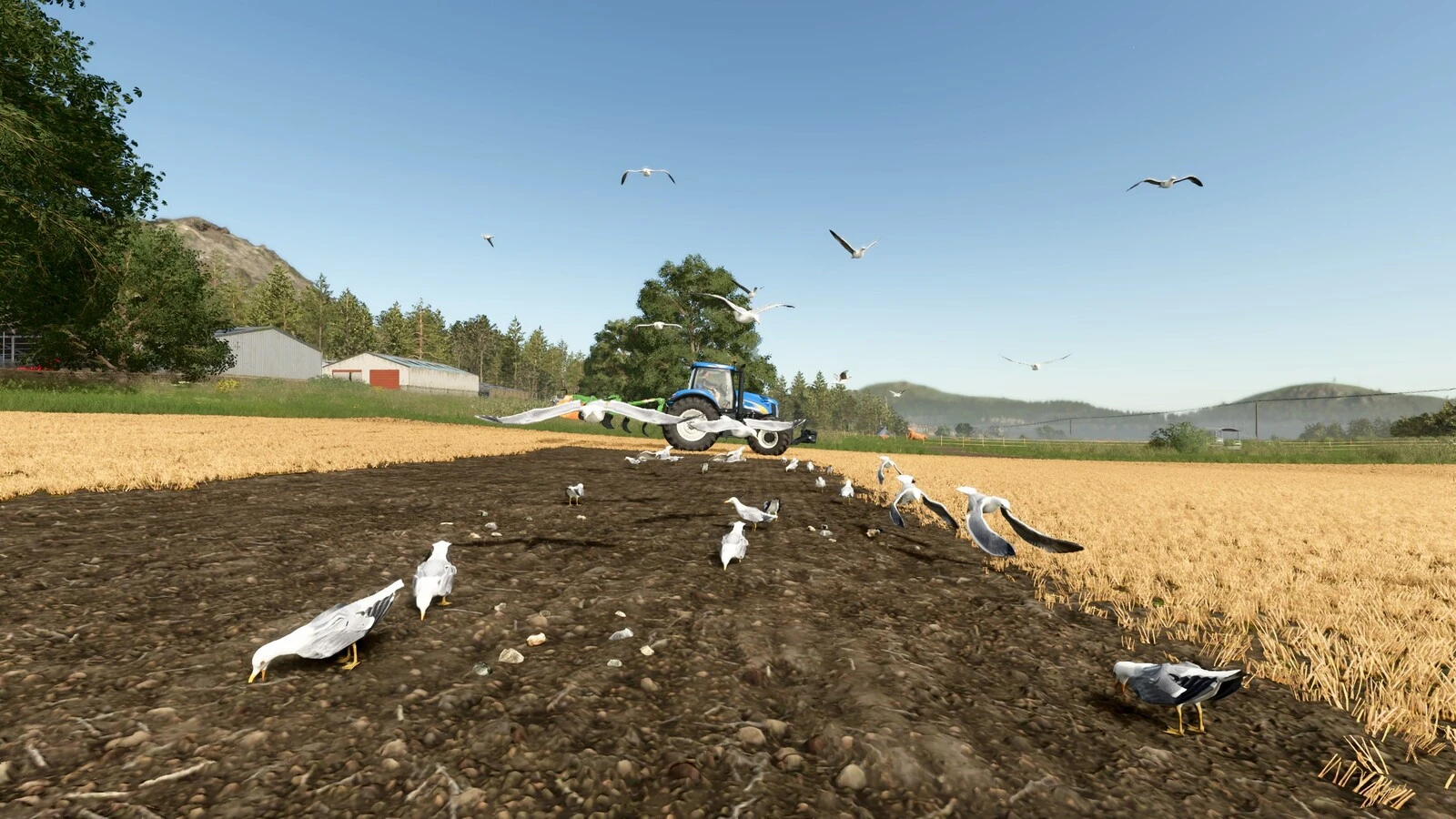 Field Gulls 1.0