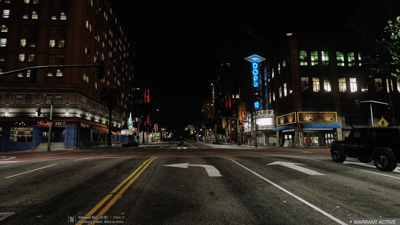 GTA V Realism Systems