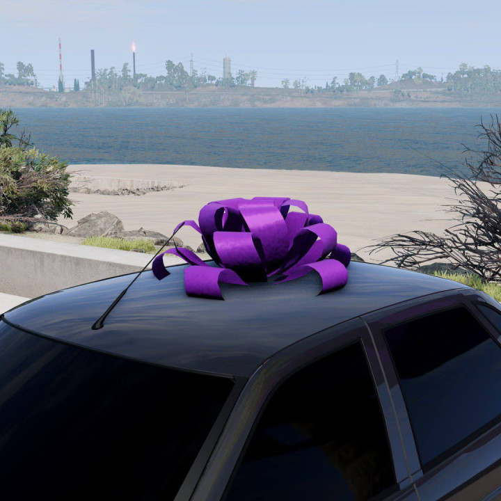 MOD Car bows