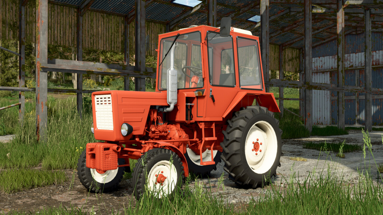 Lizard T-25