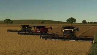 Kansas 16x