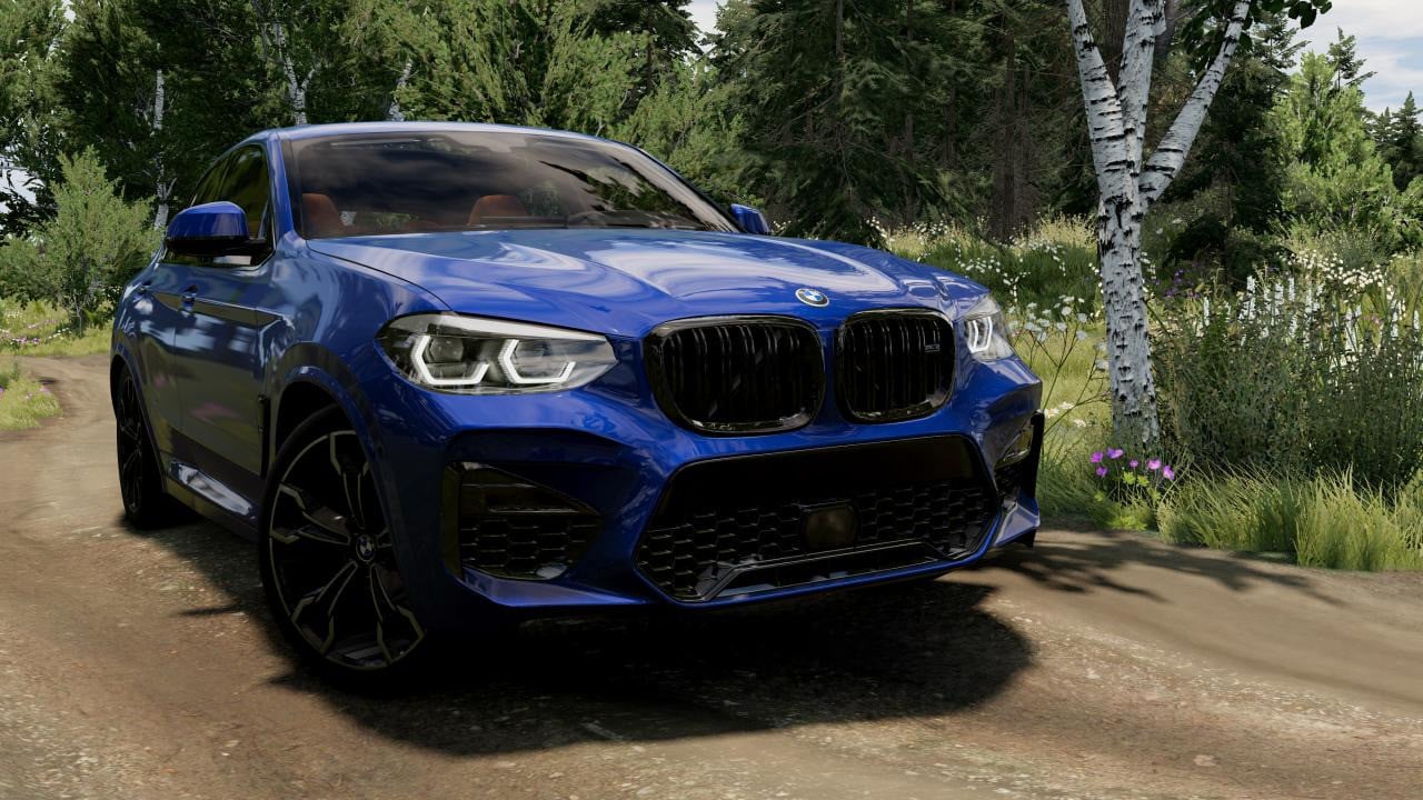 BMW X4 G02 (2018-2025)