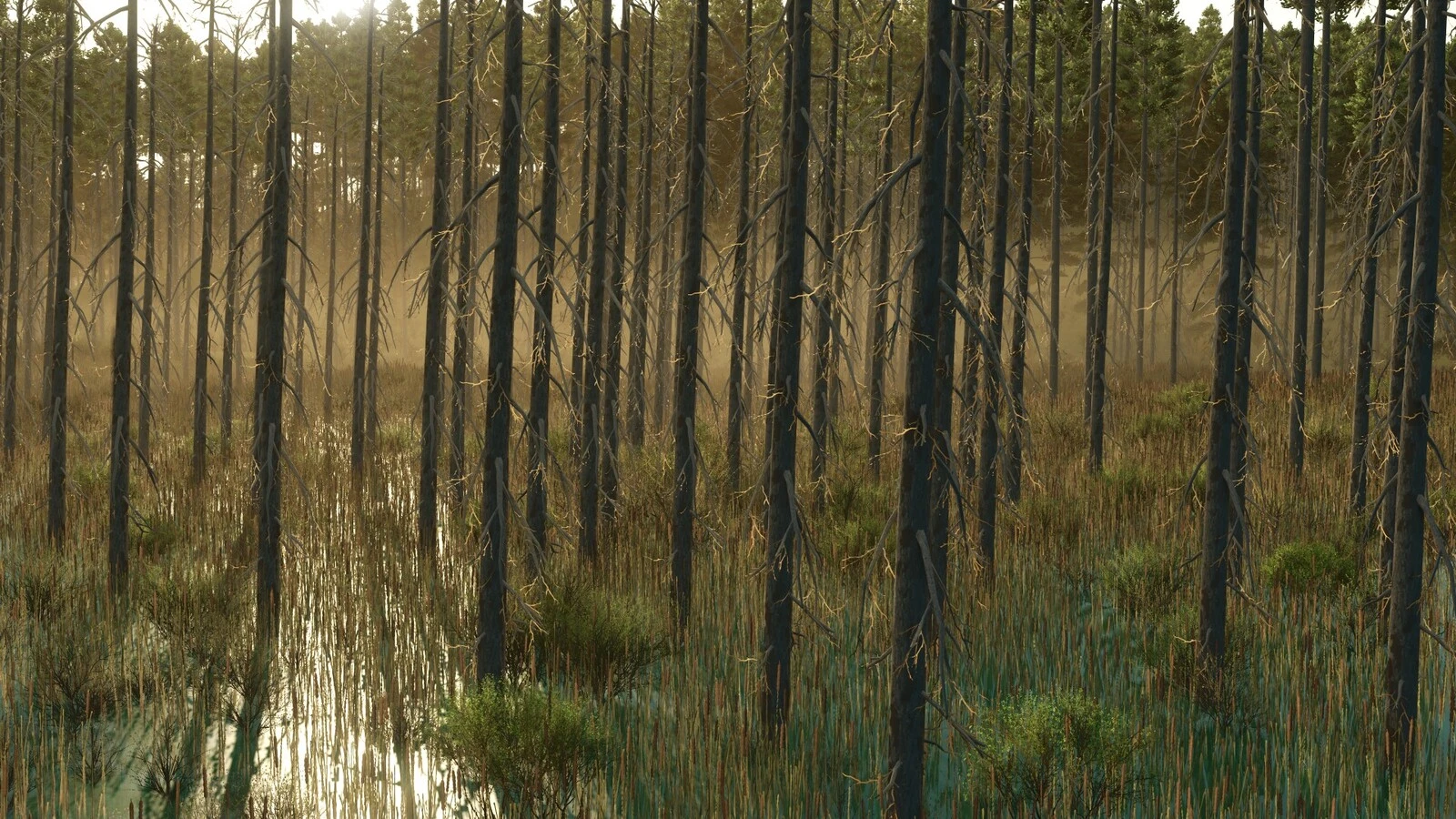 Umbreon Valley 1.0.0.1