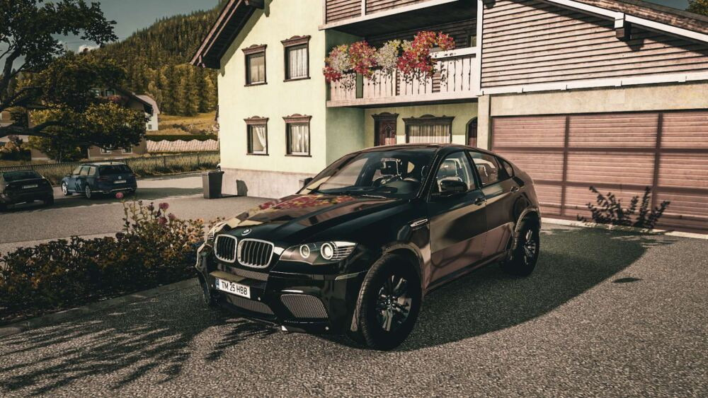 BMW X6 M 2010