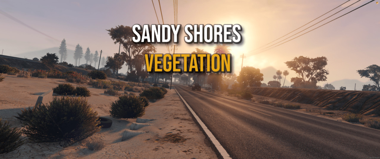 Sandy Shores Vegetation