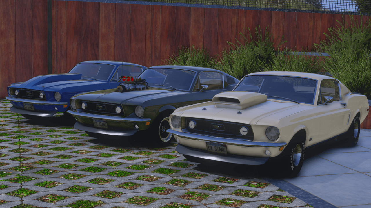 1965 Ford Mustang pack