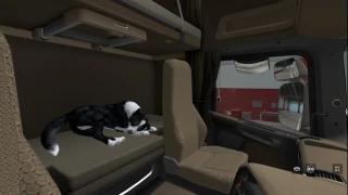 Dog with Animation v1.0 thumbnail 7