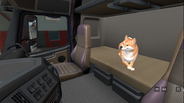 Dog with Animation