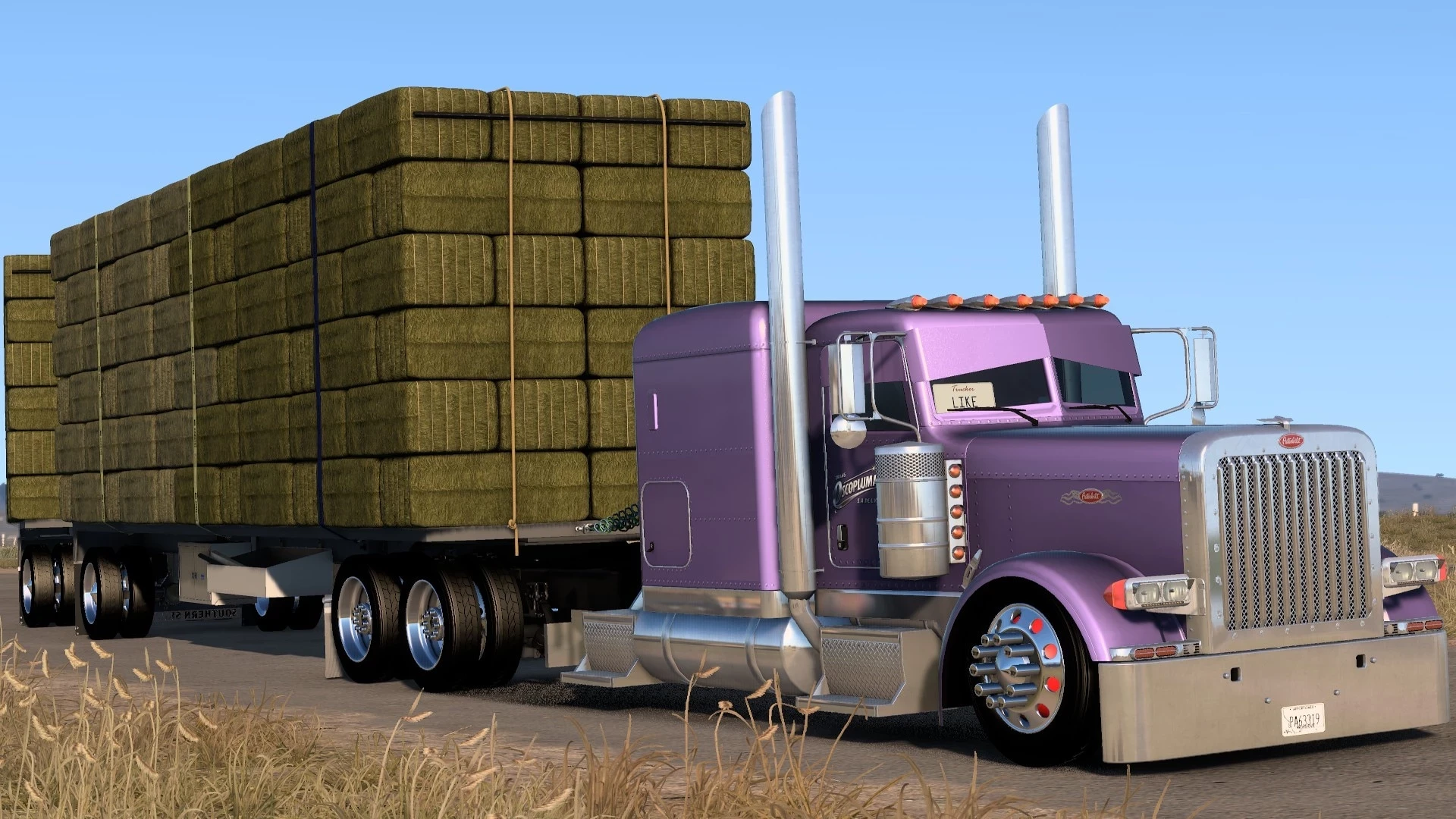Peterbilt 389 Custom Mexa v1.1