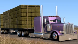 Peterbilt 389 Custom Mexa