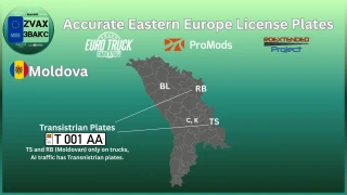 Accurate Eastern Europe License Plates for Roextended x Promods 1.0 thumbnail 9
