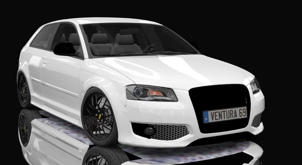 Audi S3 8P 2009