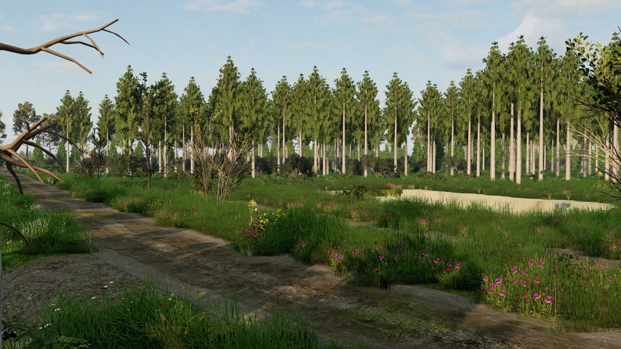 Forgotten Land
