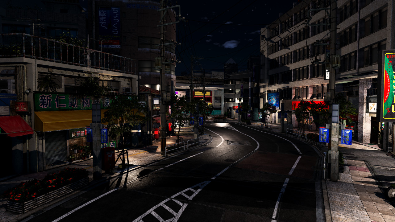 Downtown Ryukyu Japan