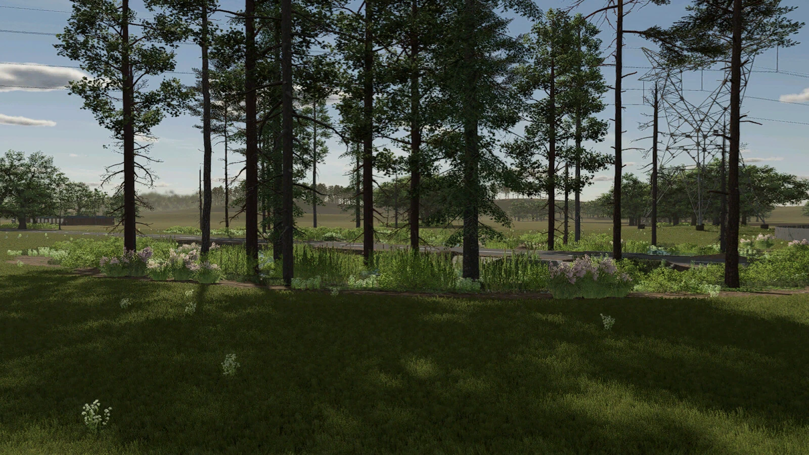 Rustic Roots 1.0