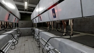 The Mechet Farm Pack 1.0.0.1 thumbnail 5