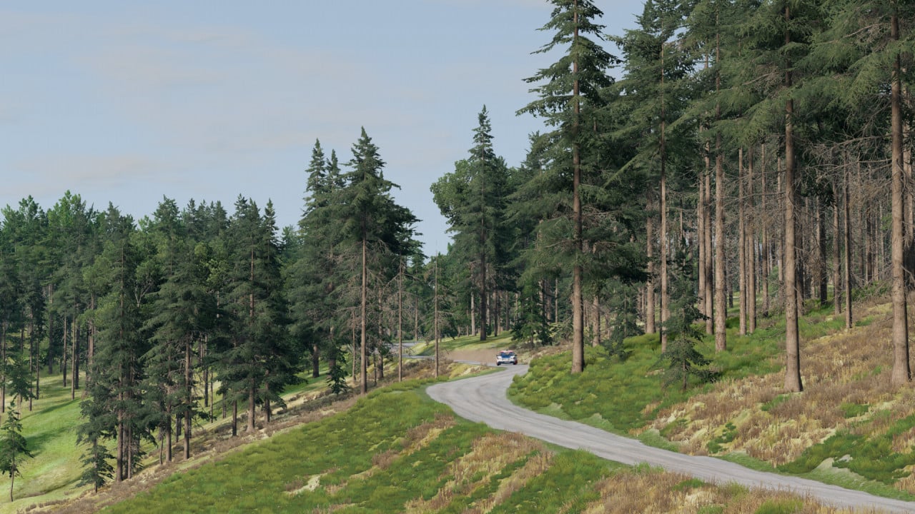Cwmysgawen Rally Stage