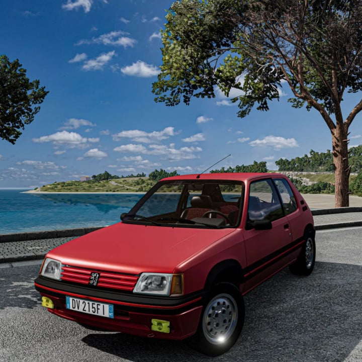 1988-1994 Peugeot 205