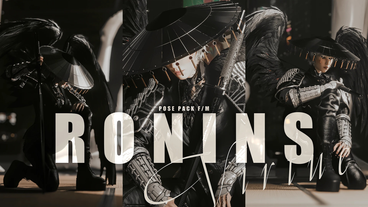 A Ronin's Virtue
