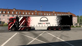 MAN TGX 2020 GX Custom Skin 1.0 thumbnail 8