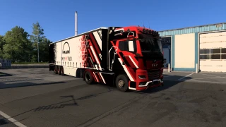 MAN TGX 2020 GX Custom Skin 1.0 thumbnail 9