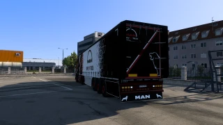 MAN TGX 2020 GX Custom Skin 1.0 thumbnail 10