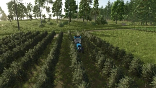 TerraFusion And Grape Olives Vines 1.1.0 thumbnail 4