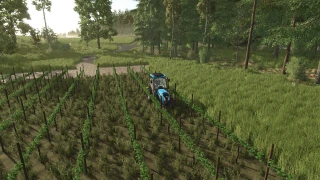 TerraFusion And Grape Olives Vines 1.1.0
