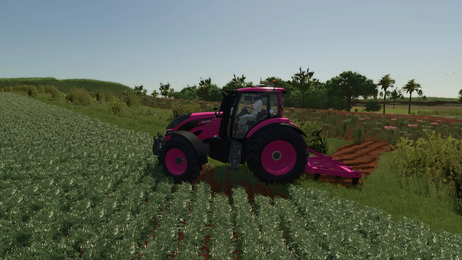 LIZARD GMP G5-G9 1.0