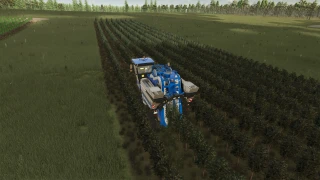 TerraFusion And Grape Olives Vines 1.1.0 thumbnail 5